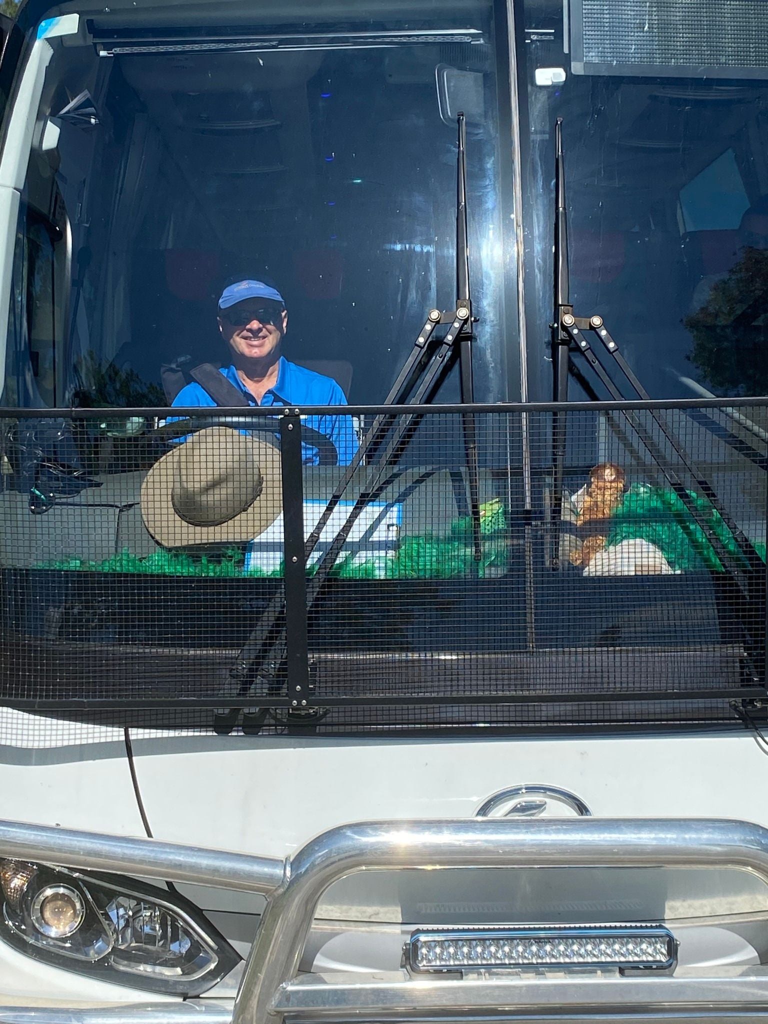 Dubbo Zoo 2025 Image -67de04768cca2